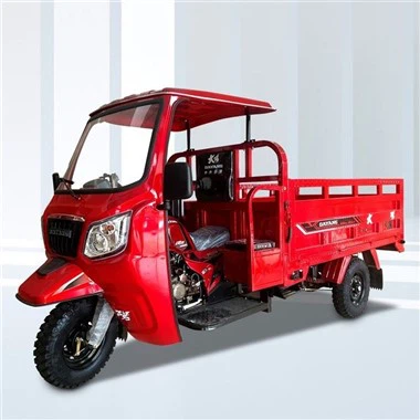 300 köbcentis Carga motoros trike