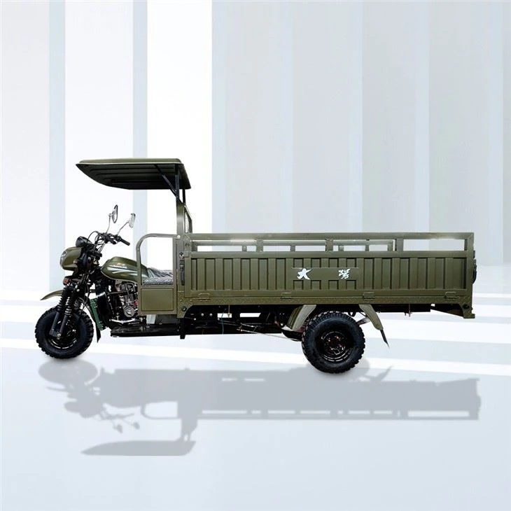 250cc Three Wheeler Carga Trike