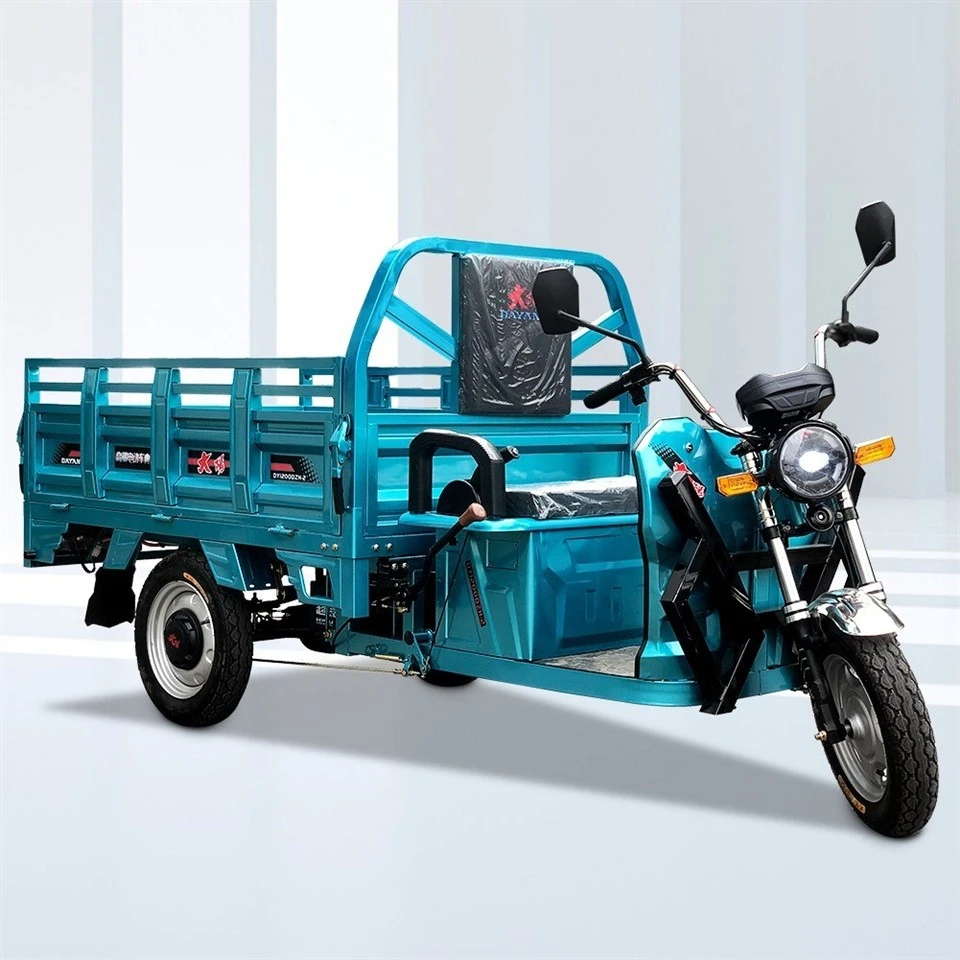 Electric Three Wheeler Motor Trike Cargo